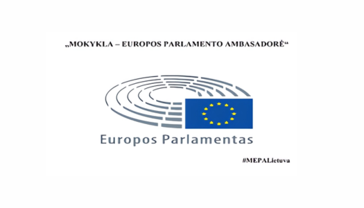 Mokyklos – Europos Parlamento ambasadorės